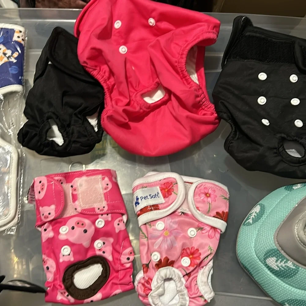 For puppies small medium an large all together 50 dollars